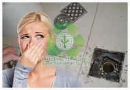 Một số mẹo khử mùi hôi nhà vệ sinh đơn giản hiệu quả