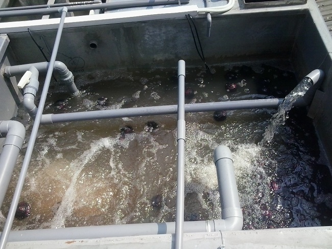 thiet ke va xay dung he thong cap thoat nuoc phu hop