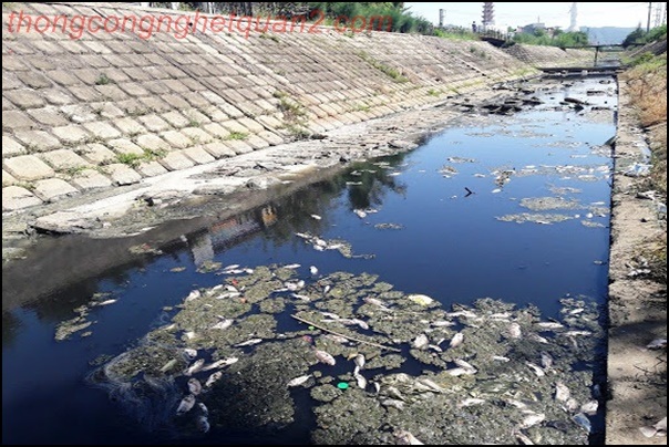 &Ocirc; nhiễm m&ocirc;i trường nước