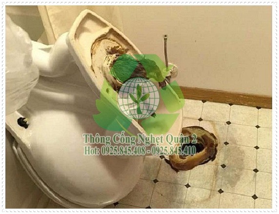 Nguyên nhân khiến cho bồn cầu dội nước có mùi